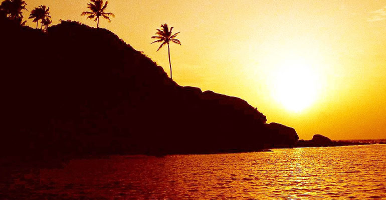 palolem beach apartments goa